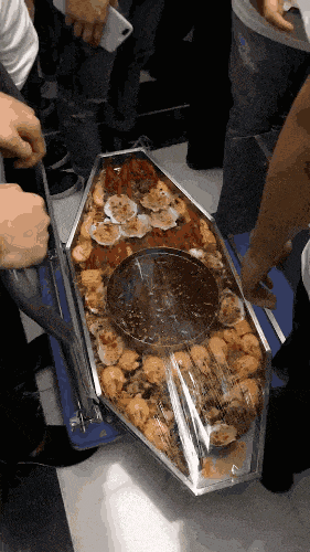 |搞笑GIF:太坏了 这是人干的事儿吗?