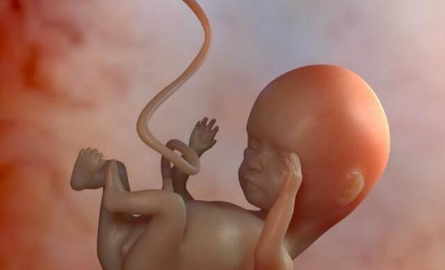 小薇|8个月孕妈做产检，医生看到画面都笑了，孕妈：出生看我不收拾你