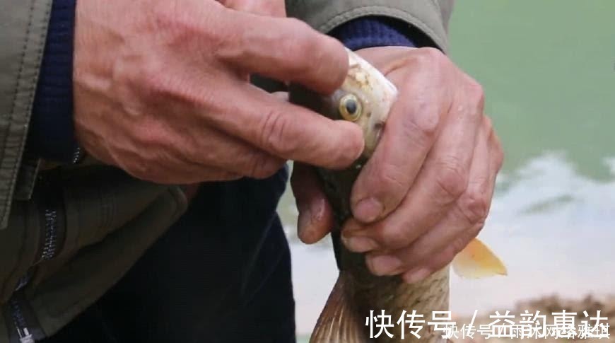 军鱼|山居老伯钓鱼,竹子做竿,蟑螂做饵,可钓的鱼一百一条