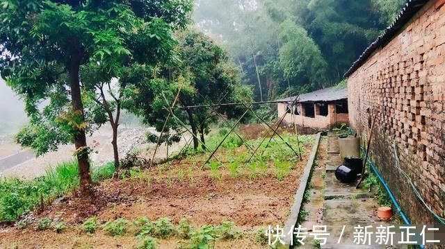 倒塌|农村房屋倒塌,有土地使用证,可以宅基地确权吗看完这个你就知道了