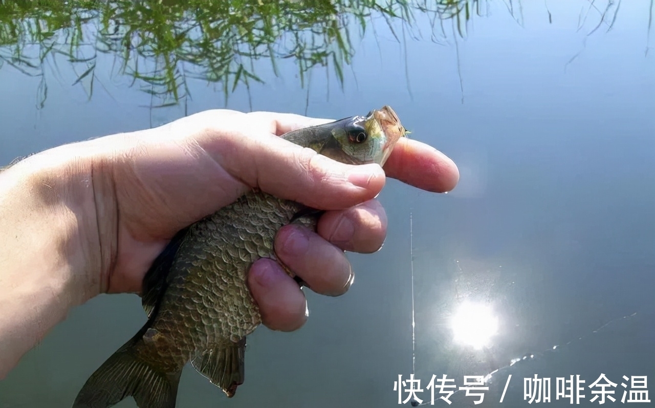 钓鱼|冬钓大鲫鱼的4个核心技巧，天气越冷咬钩的鲫鱼越大！