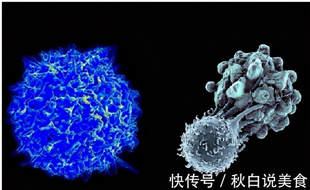 科学|一针或可杀死癌症!中国科学家独创抗癌技术可能已治愈2例