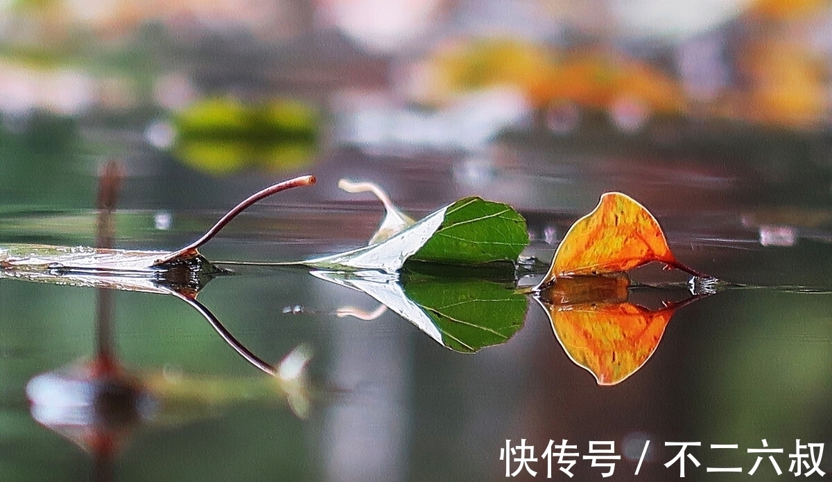 秋雨！唐代诗人韦应物的这首诗，写在秋雨之夜，他想要表达怎样的情感？