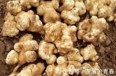 糖尿病|它是天然的胰岛素，现在正大量上市，糖尿病患者别错过