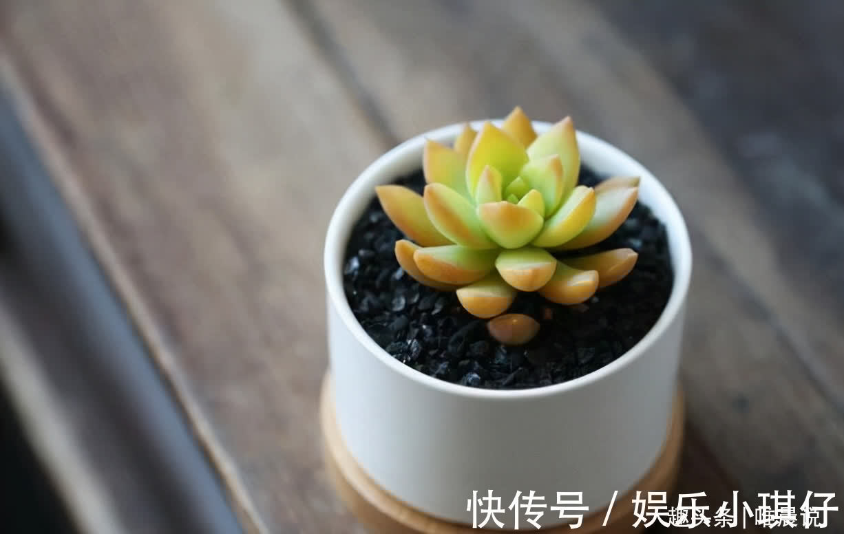 炫耀!不炫耀,是一种智慧