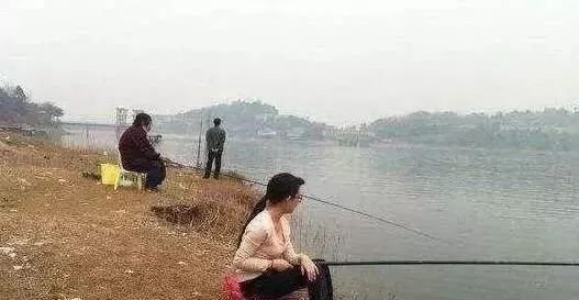 只要5个蛋，能把整个鱼塘钓光光，莫不信，新手用了一天钓258斤