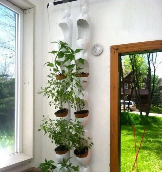 植物|没地种花种菜,没时间浇水几个塑料瓶就能解决,DIY变废为宝