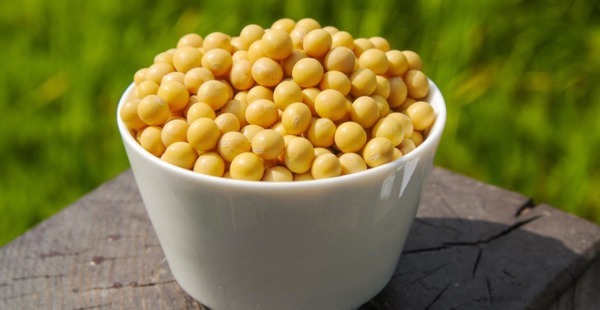 别再烦恼养花养不好了,用这3款“营养水”,叶绿开花多长得旺