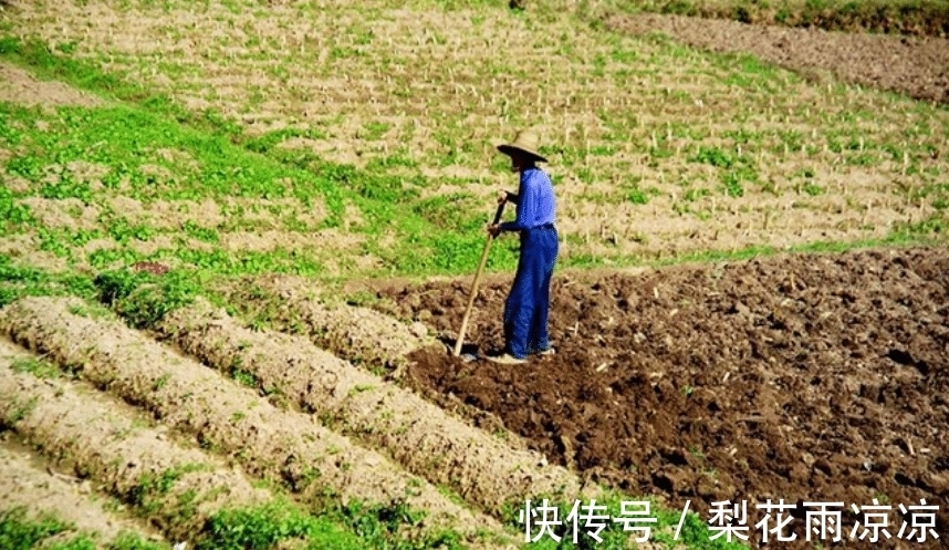 诗歌$老农模仿《咏鹅》写下《咏鸡》，全诗仅18个字，却获国家级文学奖