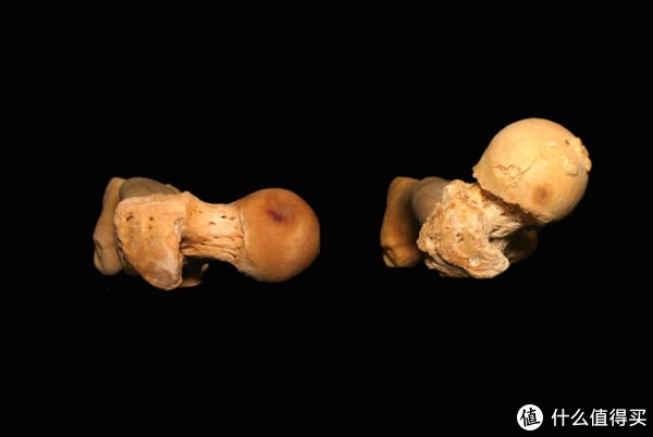 受试者|干货│如何正确找到完美的深蹲站距？