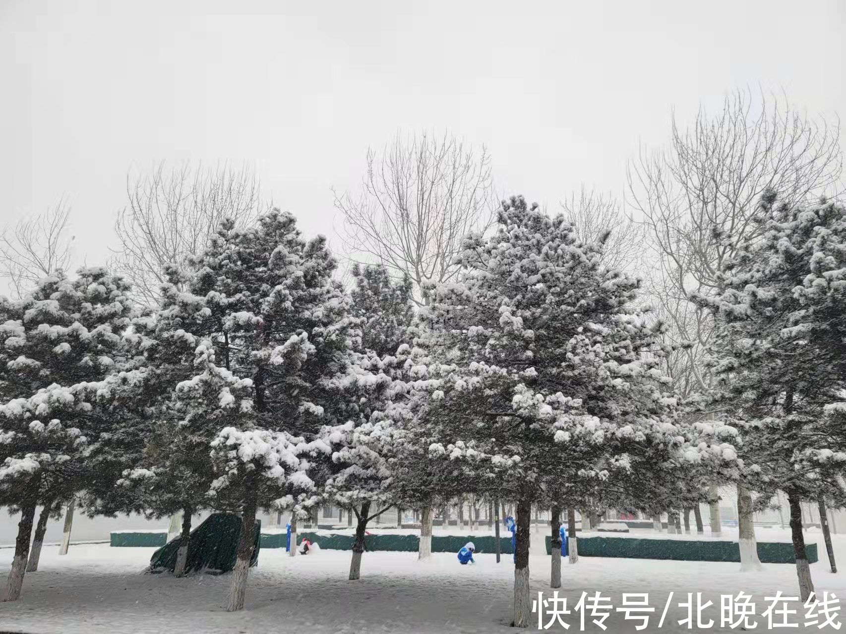 记者|韩国记者眼中的北京冬奥会雪景