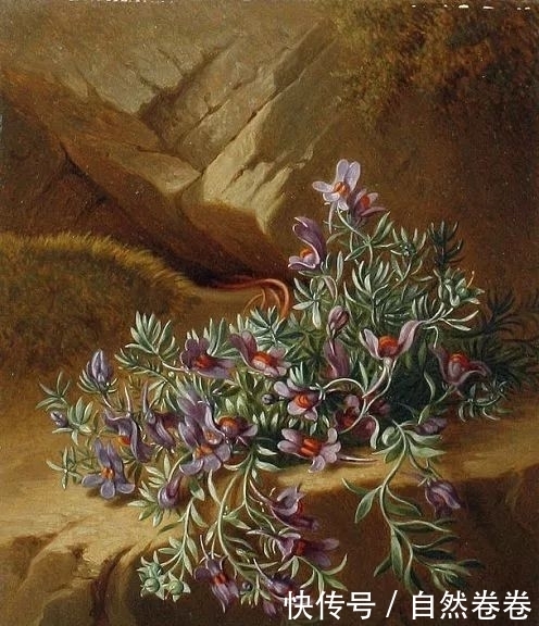 奥地利|奥地利画家JosefSchuster(Austrian,1812–1890)