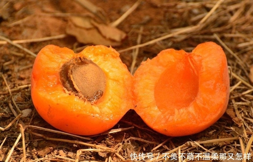 水果|它才是5月水果之王，吃软不吃硬，维生素含量高，不吃太可惜了