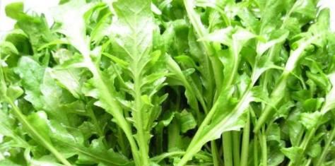 “长寿”的人，会有“1慢1软1快”的特征，若你也有，恭喜你