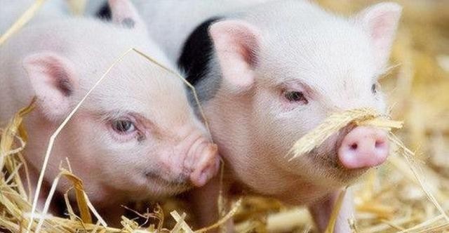  得罪|这个皇帝下了一道奇葩命令，竟然连祖先都得罪了，一年后驾鹤西去