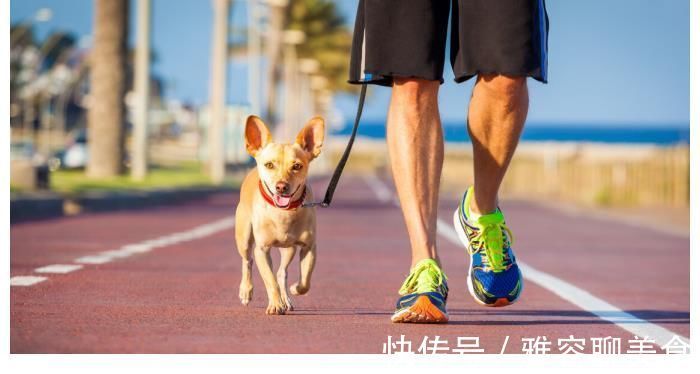 仙人掌|一块仙人掌胜过百副药，膝盖不疼了，积液也消了，滑膜炎不攻自破