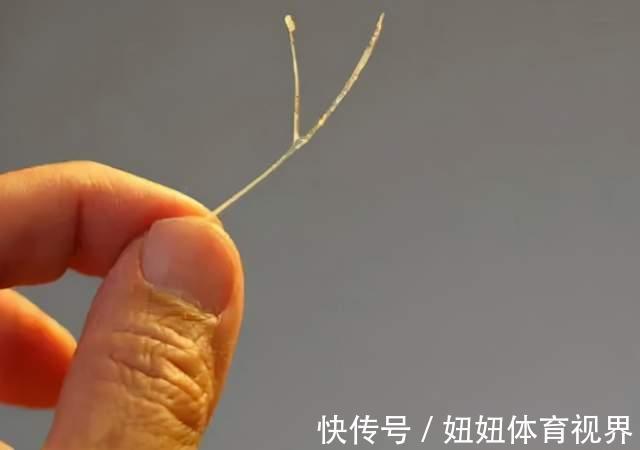 父母|四岁女儿被鱼刺卡喉,家长用机智救了娃,医生:优秀的父母