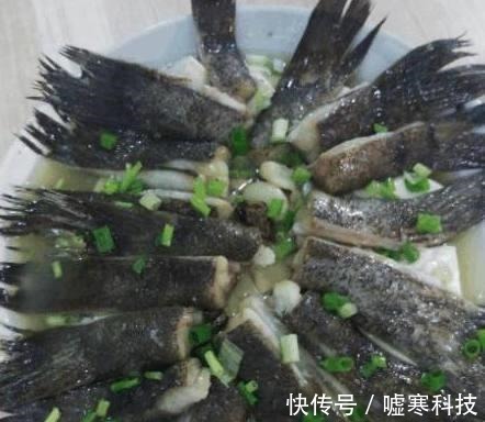 穷亲戚请吃饭，大家都不愿意去，饭菜上桌后集体打脸了……