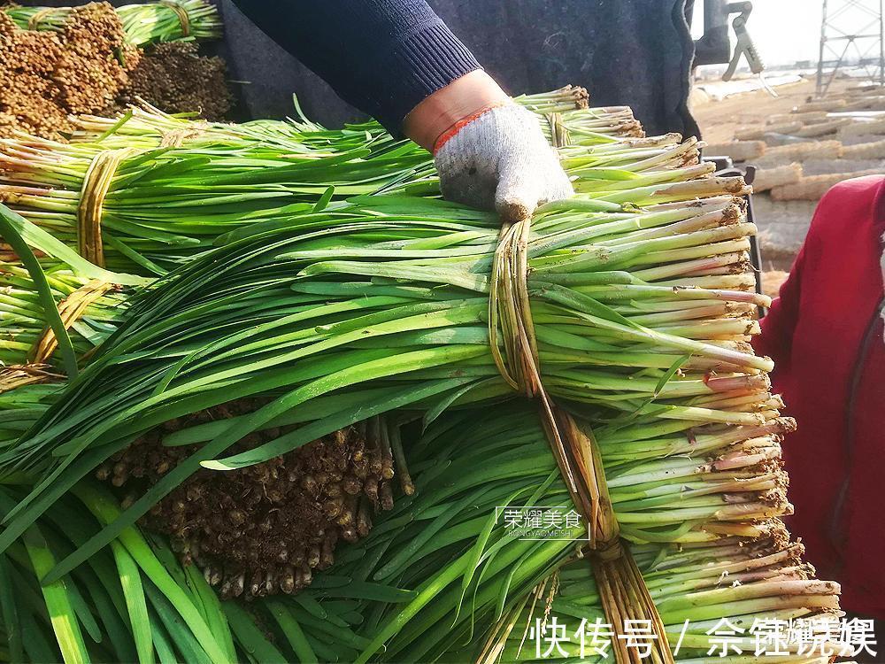 买韭菜学问多，挑宽叶还是细叶，选白根还是红根，看完涨知识了