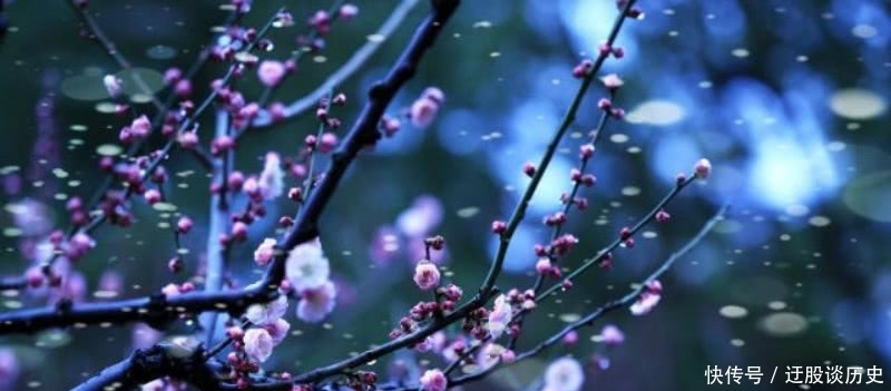 意境|辛弃疾最经典的一首咏梅词,通篇意境唯美,写出了梅花独特的品格