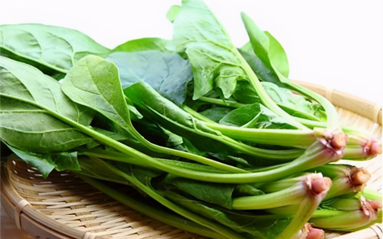  食物|冬天养生适合常吃3种食物，杀菌排毒，滋补身体，增强抵抗
