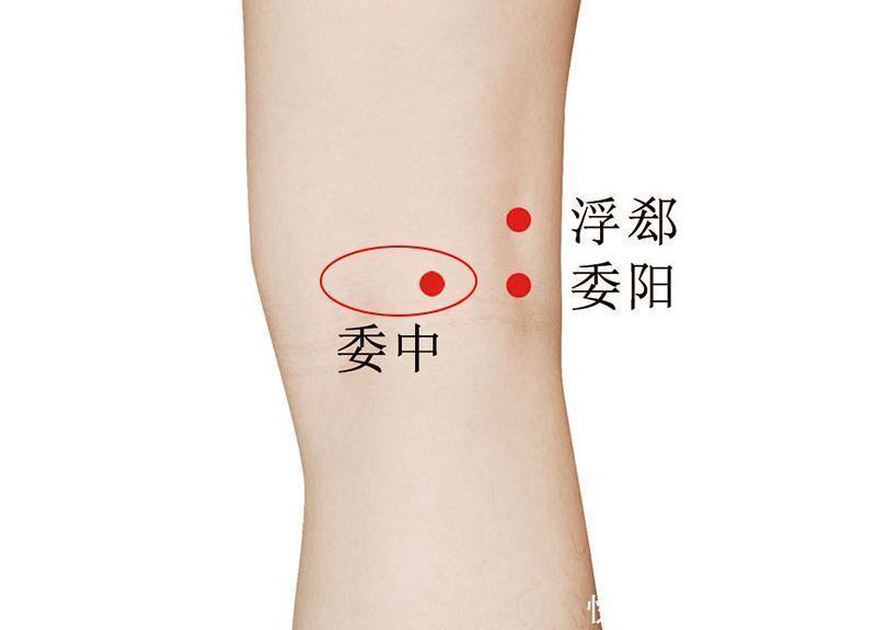 一条线|华佗松筋健康法夹脊穴养护心肝脾肺肾,比膀胱经的作用更明显