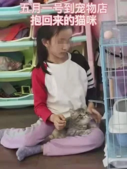 少女养猫十天后变“秃头”，头癣成儿童皮肤科常见疾病