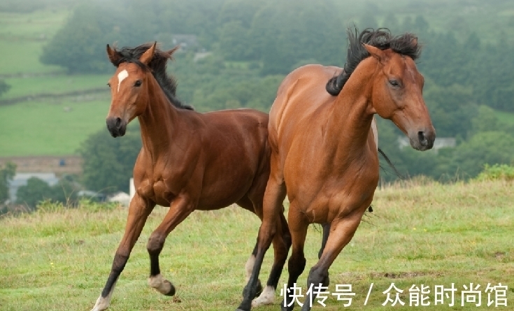 妇人$农妇报案说军马吃她粟谷,石敬瑭:杀马之后没发现粟谷就砍她脑袋