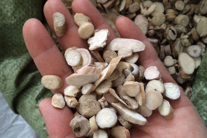 中药|妇科炎症“找上门”，别惊慌，4种中药常泡水，抑菌，养子宫