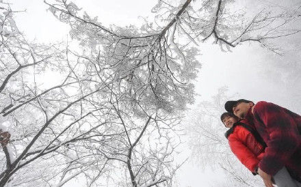 老年|全网点赞！秦岭雪景冲上热搜…未来几天这里或迎雨雪