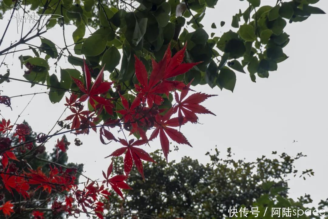 再次|再次邂逅独山古寨，却被它“门”前的风景惊艳到了