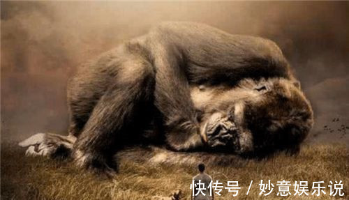 巨人&《山海经》中的巨人族,现今在亚马逊现身,难道传说并不是虚构?