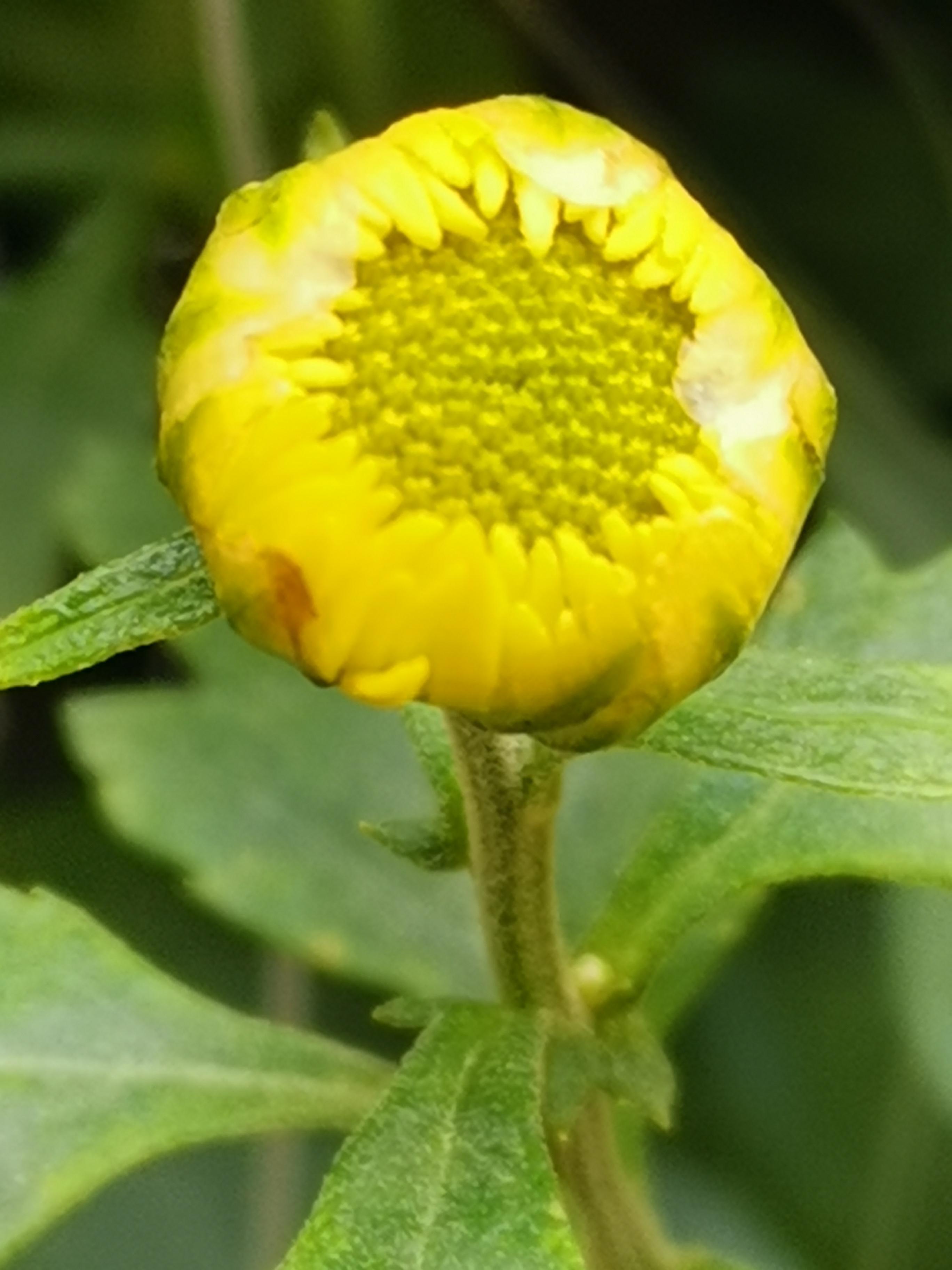 桃花|桃花来临，重获挚爱，荣华富贵躲不掉的3生肖