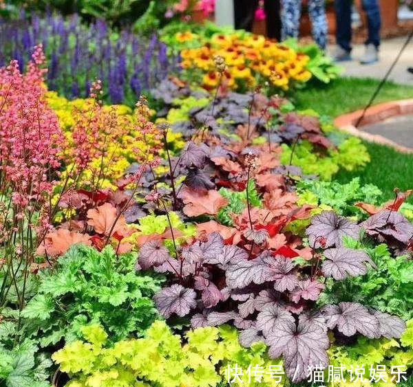 这9种花园,随便1个都美上天了,有一种这辈子就满足了!