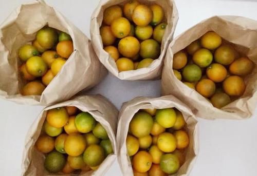 蜜饯|天冷了，少吃香蕉多吃它，一次煮好存冰箱，随吃随取，特省事