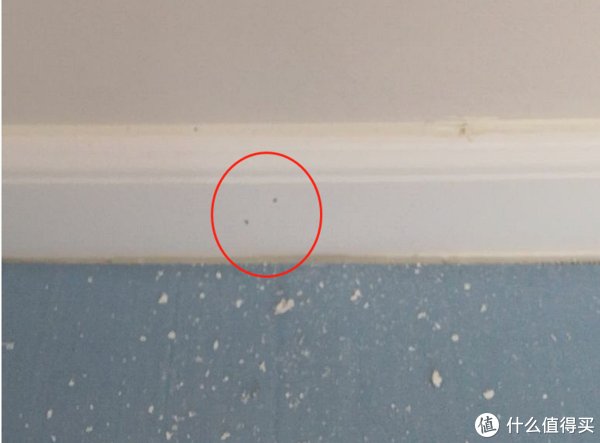 大亏|这16个不为人知的装修小秘密，不看小心吃大亏