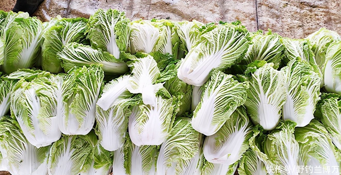 钓不到鱼,拉走别人一车白菜,好个钓鱼不走空