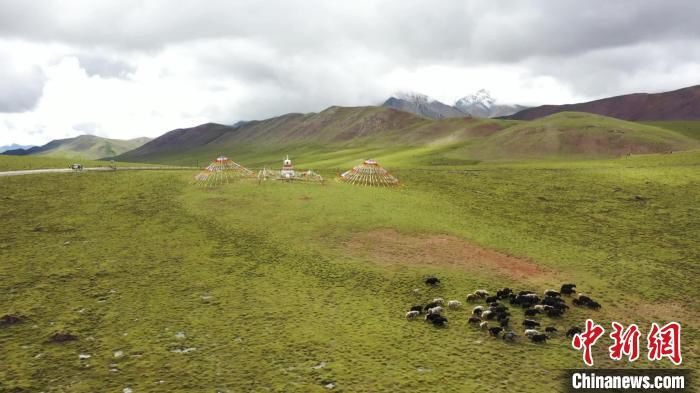 自驾|新晋自驾“打卡”公路，沿途森林雪山草地，趁着国庆假期安排~