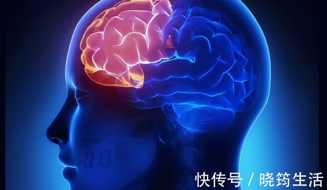 前额叶|如何养出高智商的孩子?日本脑科学家:让孩子从小炒菜做饭