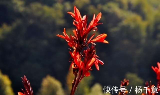 射手座|21年下半年，好运直走上坡路，事业更上一层楼，好日子近在眼前