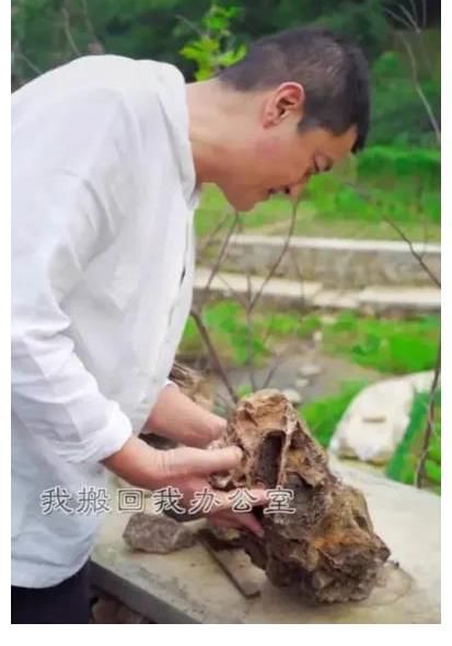 團隊|李亞鵬正面回應質疑，否認挖走李子柒團隊，一臉無辜：這從何說起？