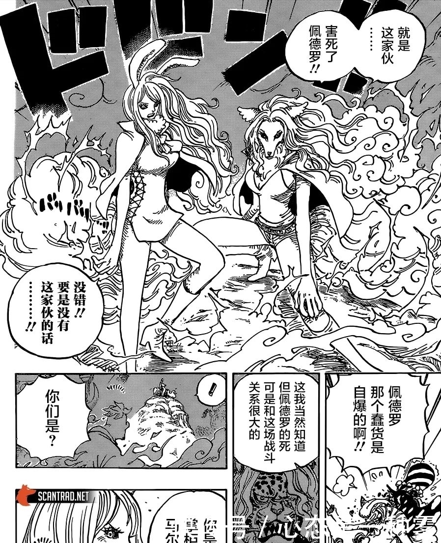 誓言|995话海贼王汉化更新：卷名[女忍的誓言], 都猜是小忍，错啦，是娜美