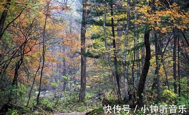 宝藏地|吉林旅游宝藏地，两个风格迥异的红叶谷，你更喜欢哪一个