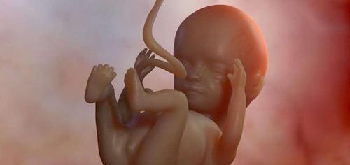 胎位|怀孕37周照B超，医生称不要顺产主任一分钟轻松搞定