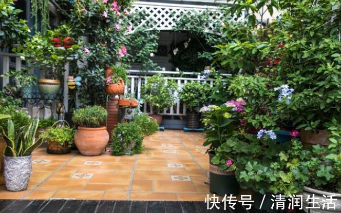 院墙|住一楼带院子的户型,做好5件事,轻松赶走潮湿