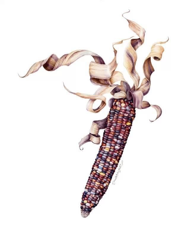 花卉#一位全职妈妈喜欢疯狂画画,教你画水彩花卉