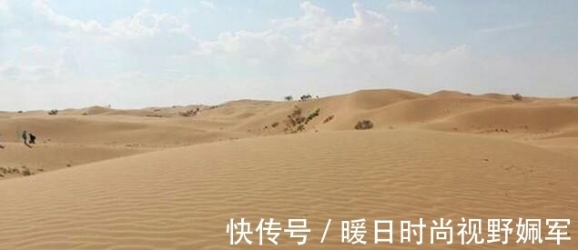 混凝土|沙漠中沙这么多,不可以用作混凝土建材吗?看完算是搞明白了