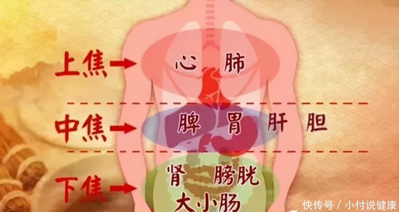 阴阳|又上火又怕冷，上热下寒怎么办？中医教你补中调气，平调寒热