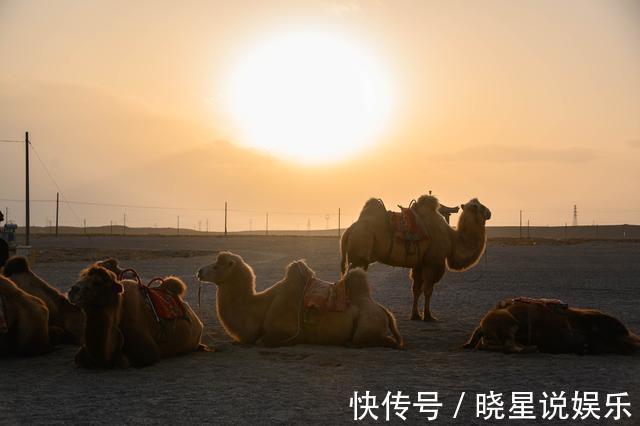 新龙门客栈|四天玩嘉峪关，除了大漠孤烟，我还发现了绿洲