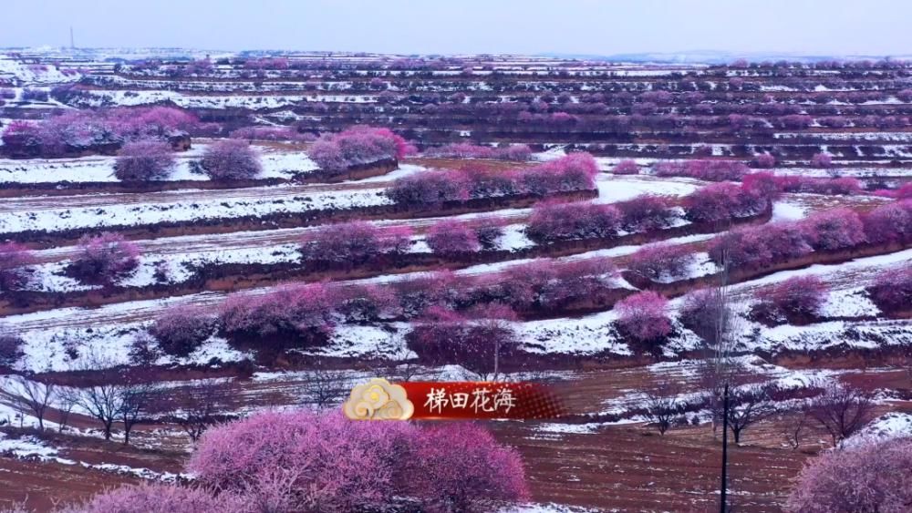 今晚|四季美景，养眼醉心，《宁夏文旅荟》今晚走进锦绣彭阳